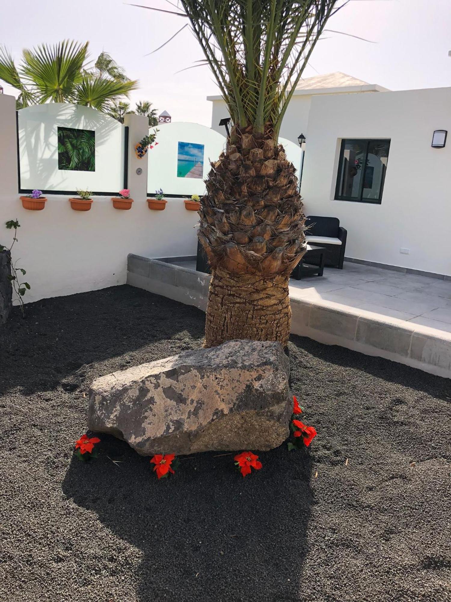 Luxury Villa Sea Front Costa Teguise Εξωτερικό φωτογραφία